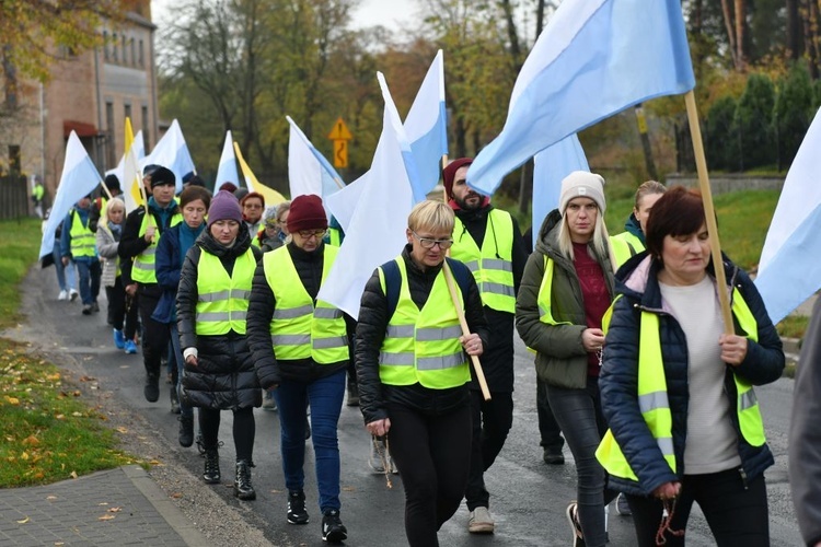 Pielgrzymka w pierwszą sobotę miesiąca z Międzyrzecza do Rokitna