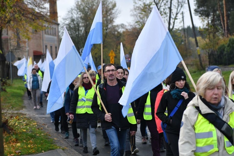 Pielgrzymka w pierwszą sobotę miesiąca z Międzyrzecza do Rokitna