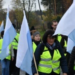 Pielgrzymka w pierwszą sobotę miesiąca z Międzyrzecza do Rokitna