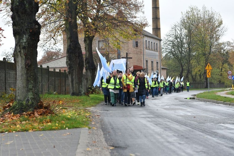 Pielgrzymka w pierwszą sobotę miesiąca z Międzyrzecza do Rokitna