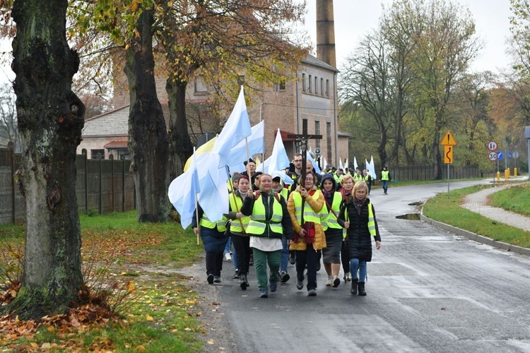 Pielgrzymka w pierwszą sobotę miesiąca z Międzyrzecza do Rokitna