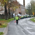 Pielgrzymka w pierwszą sobotę miesiąca z Międzyrzecza do Rokitna