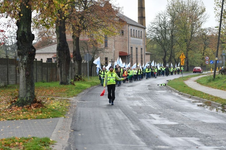 Pielgrzymka w pierwszą sobotę miesiąca z Międzyrzecza do Rokitna