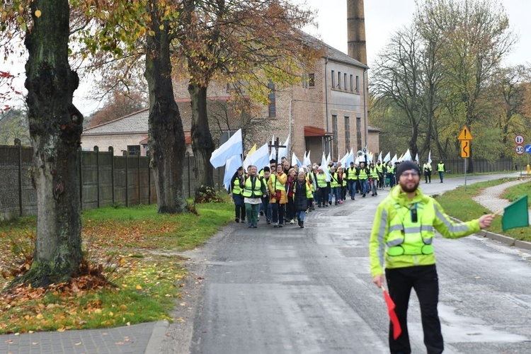 Pielgrzymka w pierwszą sobotę miesiąca z Międzyrzecza do Rokitna