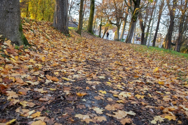 Parkowa modlitwa za zmarłych 