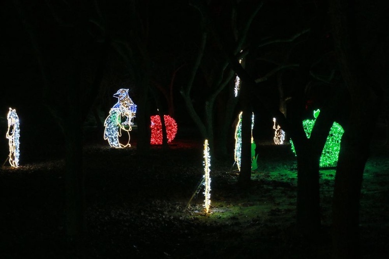Lumina Park w Lublinie