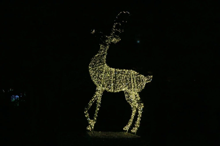 Lumina Park w Lublinie