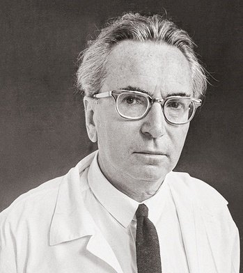 Viktor Frankl, wiedeński psychiatra, twórca logoterapii.