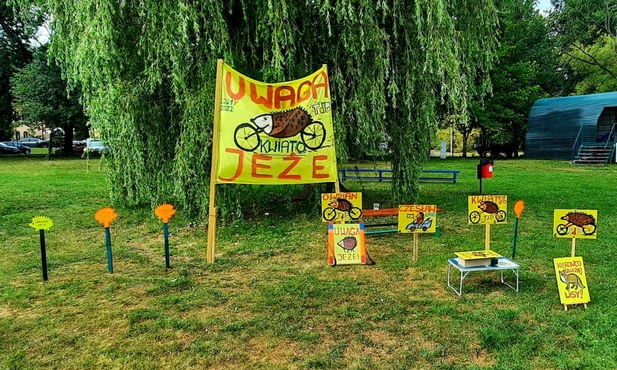 Katowice. Święto Jeża i ich obrońca z PKM Katowice