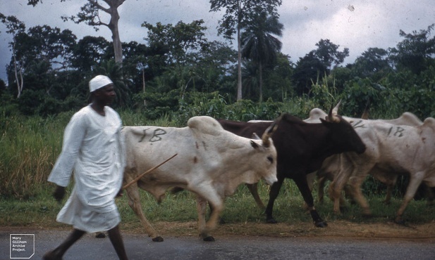 Fulani to hodowcy
