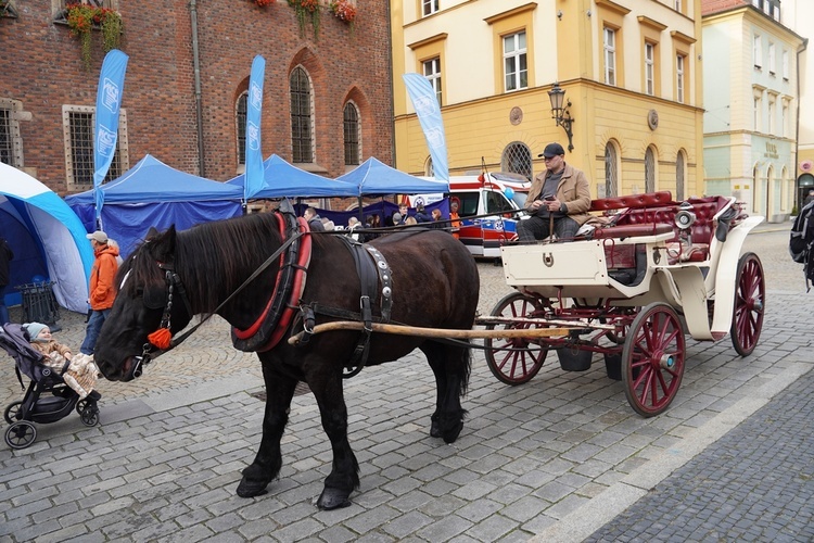 11 listopada w bazylice św. Elżbiety i na wrocławskim rynku