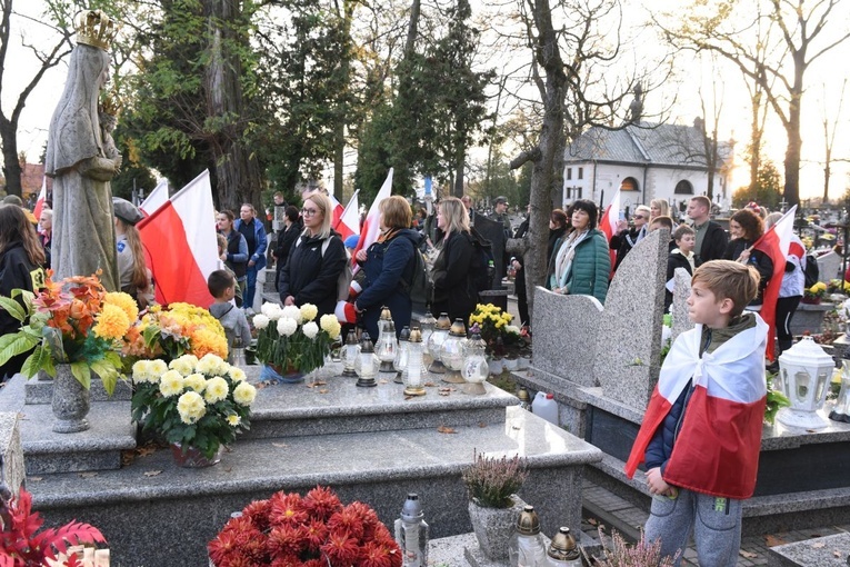 Z Brzeska do Wokowic