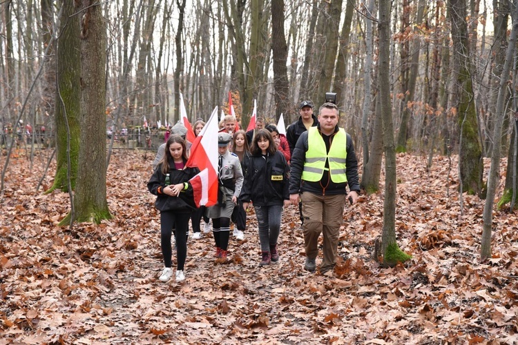 Z Brzeska do Wokowic