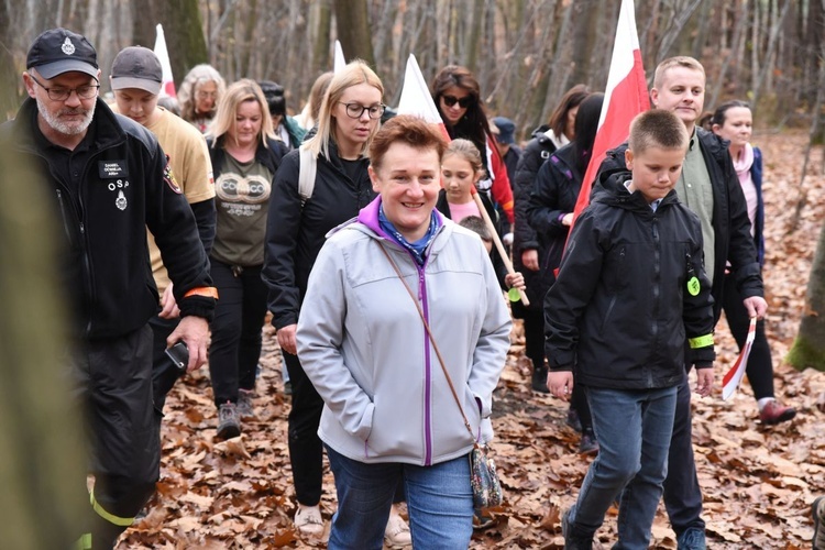 Z Brzeska do Wokowic