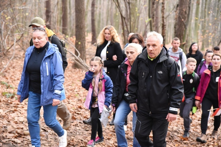 Z Brzeska do Wokowic