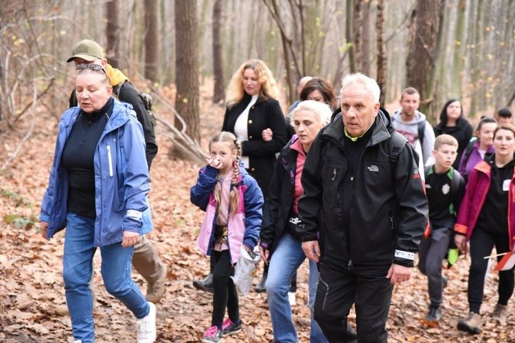 Z Brzeska do Wokowic