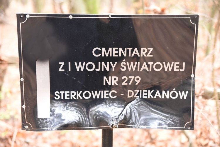 Z Brzeska do Wokowic