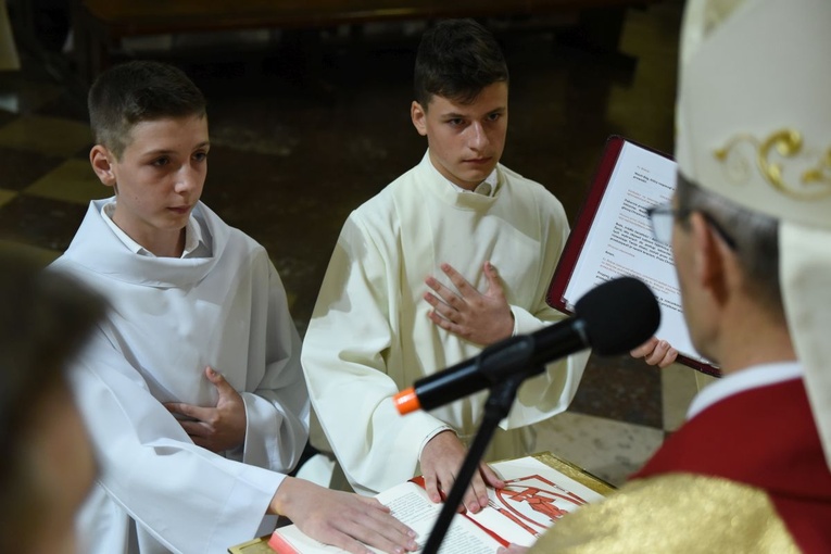 Będą czytać i rozważać, a także dawać świadectwo. 