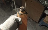Organy z kościoła Chrystusa Króla 