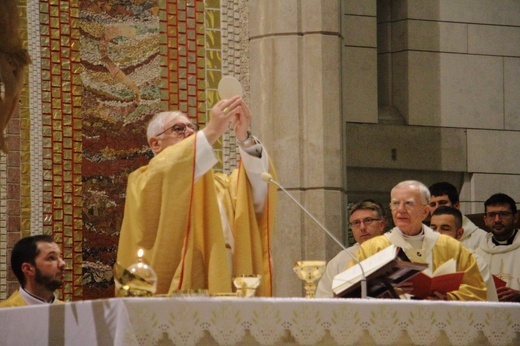 Msza św. dla uczestników II Międzynarodowego Kongresu dla Małżeństwa i Rodziny oraz Spotkania Młodzieży Archidiecezji Krakowskiej 