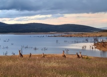 Australia - galeria