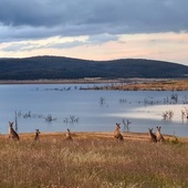 Australia - galeria