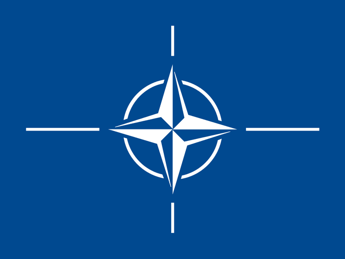 Ambasador RP przy NATO: w kluczowych momentach członkowie Sojuszu potrafią zachować jedność