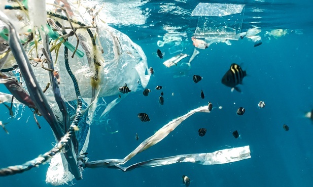 Magnetyczny proszek usuwa mikroplastik z wody