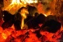 Wiceminister Rabenda: 2160 gmin w Polsce podpisało umowy na dystrybucję węgla