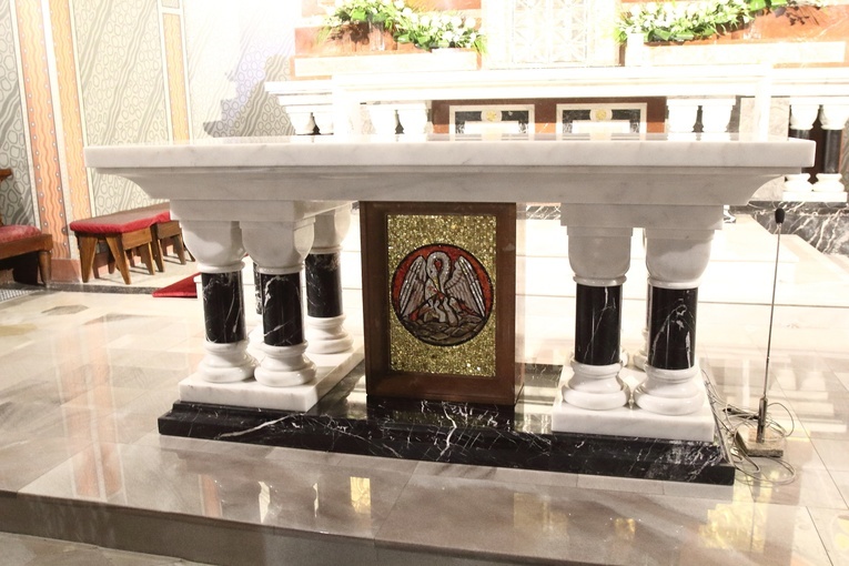 Z pelikanem karmiącym pisklęta