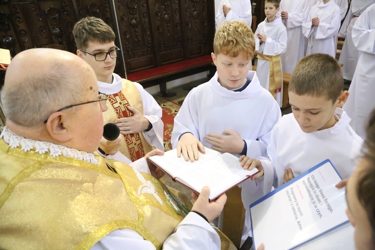 Lektorzy w Barcicach