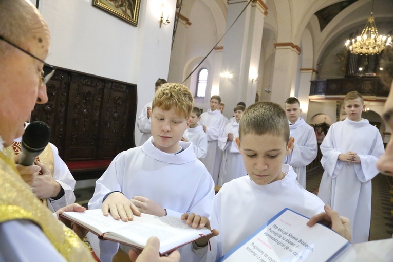 Lektorzy w Barcicach