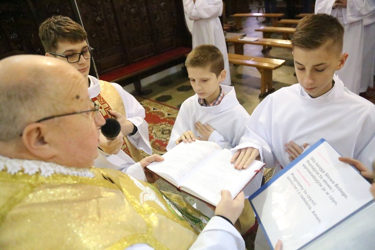 Lektorzy w Barcicach