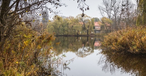 Katowice. Zielona strefa odpoczynku powstanie przy pokopalnianym stawie Kozubek