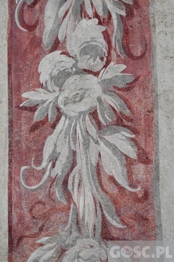 Paradyż w obiektywie Gościa Niedzielnego