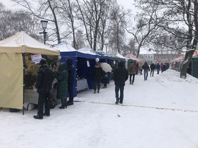 Po Rozwadowie przyszedł czas na jarmark w Stalowej Woli.