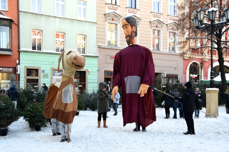 Gigantyczne jasełka w świdnickim Rynku