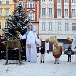 Gigantyczne jasełka w świdnickim Rynku