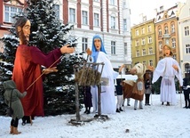 Gigantyczne jasełka w świdnickim Rynku