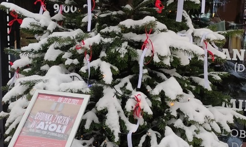 Katowice. "Choinka życzeń". Spełnij życzenia osób ubogich