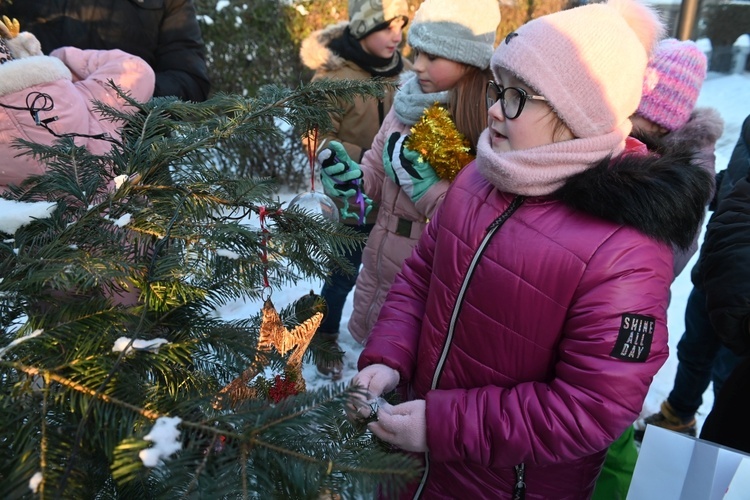 Wspólne ubieranie choinki