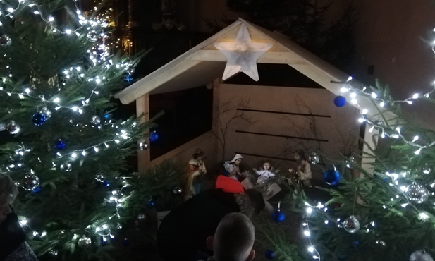 Meksyk. Pieski przyszły na świat w... stajence