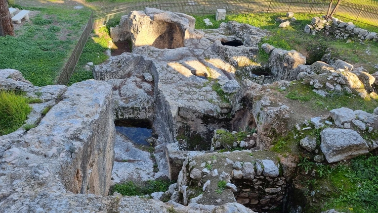 Pielgrzymka do Ziemi Świętej z bp. Adamem Bałabuchem