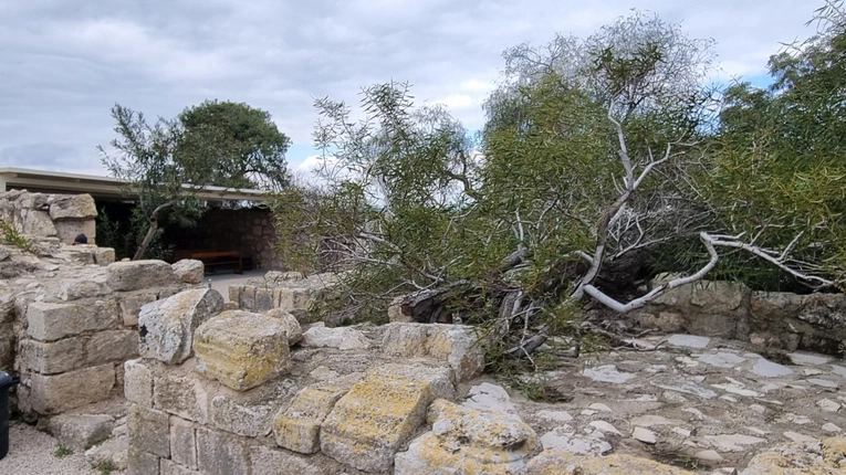 Pielgrzymka do Ziemi Świętej z bp. Adamem Bałabuchem