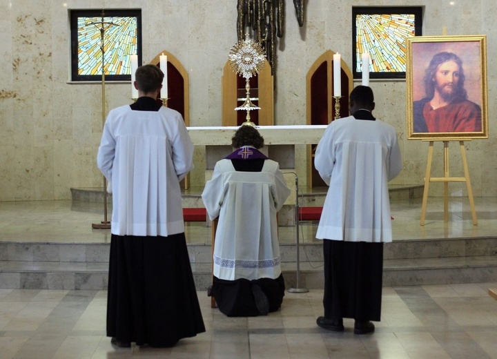 Dzień Modlitwy i Pokuty za grzech wykorzystania seksualnego