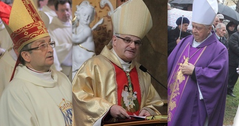 Biskupi pomocniczy diecezji legnickiej