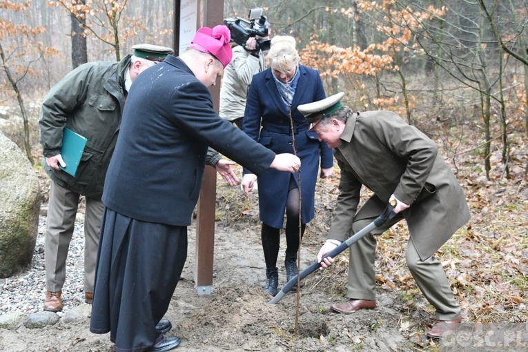 Jenin. Poświęcenie leśnej drogi krzyżowej