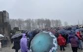 Droga Krzyżowa w intencji trzeźwości narodu w byłym KL Auschwitz-Birkenau - 2023