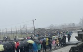 Droga Krzyżowa w intencji trzeźwości narodu w byłym KL Auschwitz-Birkenau - 2023