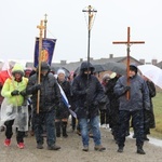 Droga Krzyżowa w intencji trzeźwości narodu w byłym KL Auschwitz-Birkenau - 2023